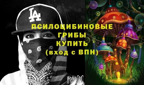 стаф Беломорск