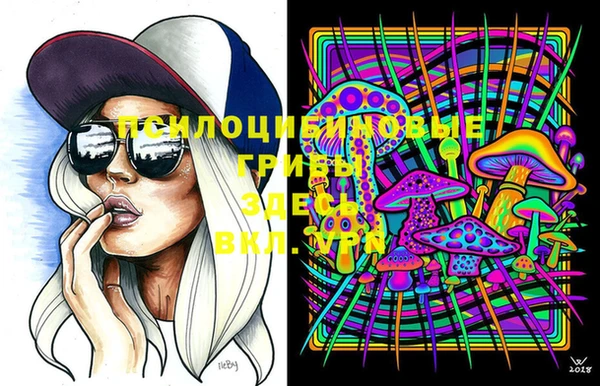 меф Белокуриха