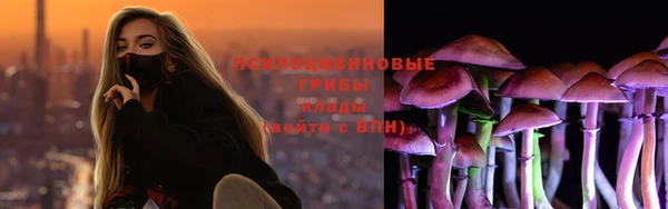 стаф Беломорск