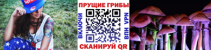 купить   Волхов  Псилоцибиновые грибы мухоморы 