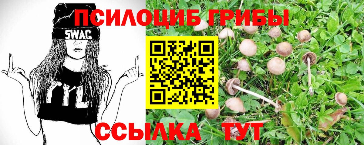 Галлюциногенные грибы Psilocybe  Псилоцибиновые грибы Magic Shrooms  Вход с VPN  Волхов 