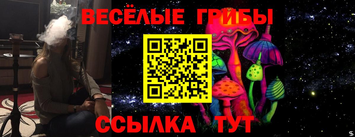 Псилоцибиновые грибы Psilocybine cubensis Волхов